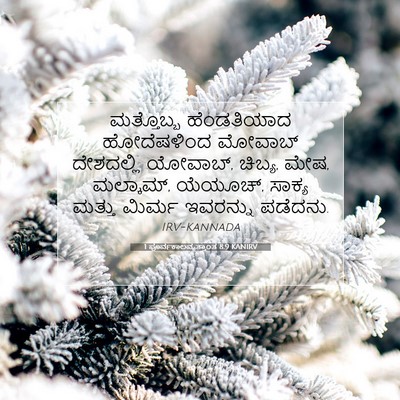 Picture 07 - 1 ಪೂರ್ವಕಾಲವೃತ್ತಾಂತ 8:9 KANIRV - ಮತ್ತೊಬ್ಬ - Bible Verse Picture