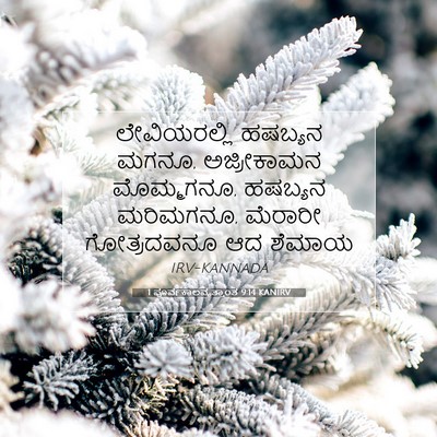 Picture 07 - 1 ಪೂರ್ವಕಾಲವೃತ್ತಾಂತ 9:14 KANIRV - ಲೇವಿಯರಲ್ಲಿ ಹಷಬ್ಯನ - Bible Verse Picture