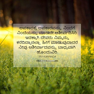 Picture 07 - 1 ಪೇತ್ರನು 3:9 KANIRV - ಅಪಕಾರಕ್ಕೆ - Bible Verse Picture