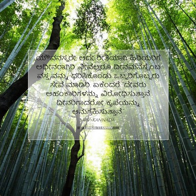 Picture 07 - 1 ಪೇತ್ರನು 5:5 KANIRV - ಯೌವನಸ್ಥರೇ, ಅದೇ - Bible Verse Picture
