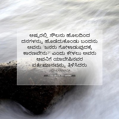 Picture 07 - 1 ಸಮುವೇಲನು 11:5 KANIRV - ಅಷ್ಟರಲ್ಲಿ ಸೌಲನು - Bible Verse Picture