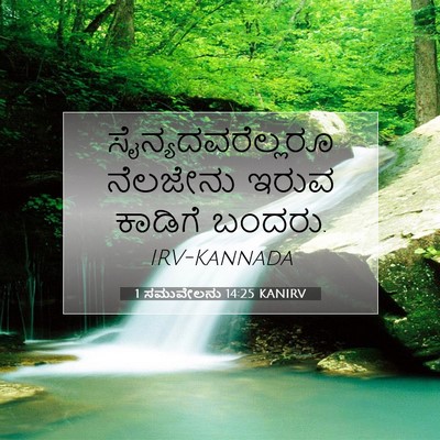 Picture 07 - 1 ಸಮುವೇಲನು 14:25 KANIRV - ಸೈನ್ಯದವರೆಲ್ಲರೂ - Bible Verse Picture