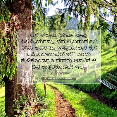 Picture 07 - 1 ಸಮುವೇಲನು 14:37 KANIRV - ಆಗ ಸೌಲನು, “ದೇವಾ, - Bible Verse Picture