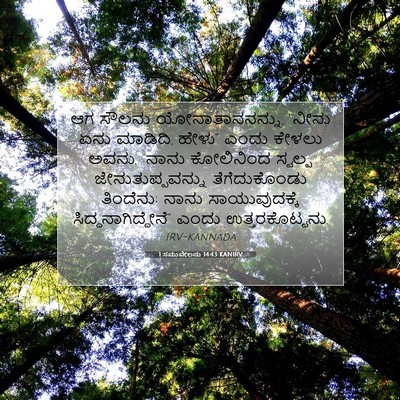 Picture 07 - 1 ಸಮುವೇಲನು 14:43 KANIRV - ಆಗ ಸೌಲನು - Bible Verse Picture