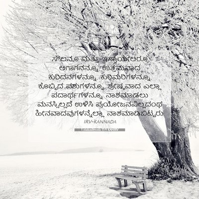 Picture 07 - 1 ಸಮುವೇಲನು 15:9 KANIRV - ಸೌಲನೂ ಮತ್ತು - Bible Verse Picture