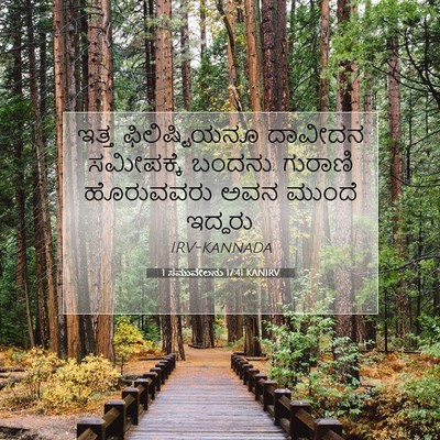 Picture 07 - 1 ಸಮುವೇಲನು 17:41 KANIRV - ಇತ್ತ ಫಿಲಿಷ್ಟಿಯನೂ - Bible Verse Picture
