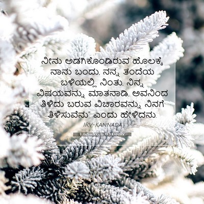 Picture 07 - 1 ಸಮುವೇಲನು 19:3 KANIRV - ನೀನು ಅಡಗಿಕೊಂಡಿರುವ - Bible Verse Picture