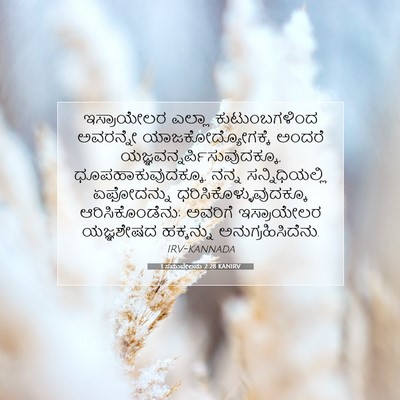 Picture 07 - 1 ಸಮುವೇಲನು 2:28 KANIRV - ಇಸ್ರಾಯೇಲರ ಎಲ್ಲಾ - Bible Verse Picture