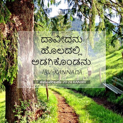 Picture 07 - 1 ಸಮುವೇಲನು 20:24 KANIRV - ದಾವೀದನು ಹೊಲದಲ್ಲಿ - Bible Verse Picture