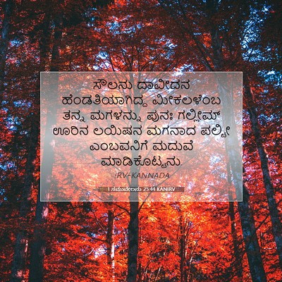 Picture 07 - 1 ಸಮುವೇಲನು 25:44 KANIRV - ಸೌಲನು ದಾವೀದನ - Bible Verse Picture
