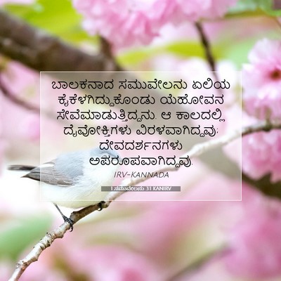 Picture 07 - 1 ಸಮುವೇಲನು 3:1 KANIRV - ಬಾಲಕನಾದ ಸಮುವೇಲನು - Bible Verse Picture