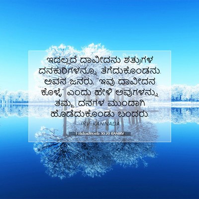 Picture 07 - 1 ಸಮುವೇಲನು 30:20 KANIRV - ಇದಲ್ಲದೆ ದಾವೀದನು - Bible Verse Picture