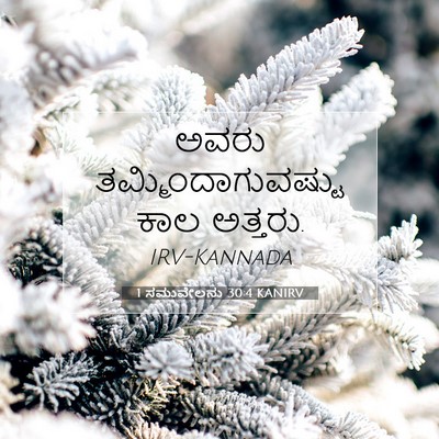 Picture 07 - 1 ಸಮುವೇಲನು 30:4 KANIRV - ಅವರು - Bible Verse Picture