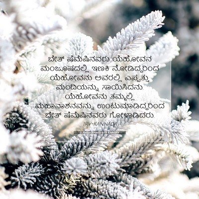 Picture 07 - 1 ಸಮುವೇಲನು 6:19 KANIRV - ಬೇತ್ ಷೆಮೆಷಿನವರು - Bible Verse Picture