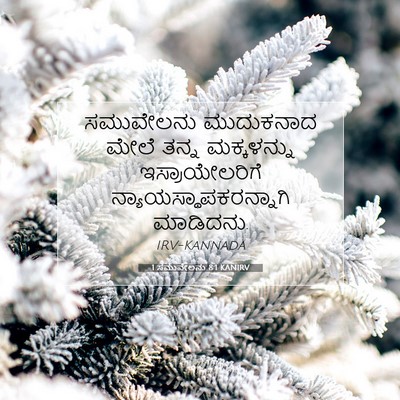 Picture 07 - 1 ಸಮುವೇಲನು 8:1 KANIRV - ಸಮುವೇಲನು ಮುದುಕನಾದ - Bible Verse Picture