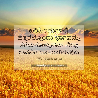 Picture 07 - 1 ಸಮುವೇಲನು 8:17 KANIRV - ಕುರಿಹಿಂಡುಗಳಲ್ಲಿ - Bible Verse Picture