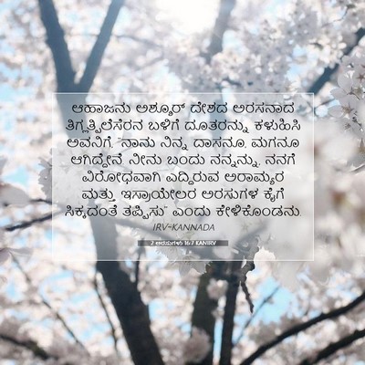 Picture 07 - 2 ಅರಸುಗಳು 16:7 KANIRV - ಆಹಾಜನು ಅಶ್ಶೂರ್ - Bible Verse Picture