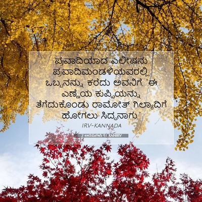 Picture 07 - 2 ಅರಸುಗಳು 9:1 KANIRV - ಪ್ರವಾದಿಯಾದ ಎಲೀಷನು - Bible Verse Picture