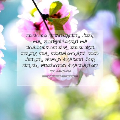 Picture 07 - 2 ಕೊರಿಂಥದವರಿಗೆ 12:15 KANIRV - ನಾನಂತೂ - Bible Verse Picture