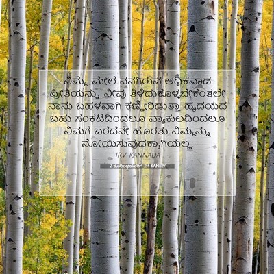 Picture 07 - 2 ಕೊರಿಂಥದವರಿಗೆ 2:4 KANIRV - ನಿಮ್ಮ ಮೇಲೆ - Bible Verse Picture