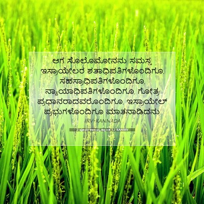 Picture 07 - 2 ಪೂರ್ವಕಾಲವೃತ್ತಾಂತ 1:2 KANIRV - ಆಗ ಸೊಲೊಮೋನನು - Bible Verse Picture