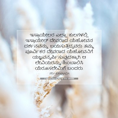 Picture 07 - 2 ಪೂರ್ವಕಾಲವೃತ್ತಾಂತ 11:16 KANIRV - ಇಸ್ರಾಯೇಲರ ಎಲ್ಲಾ - Bible Verse Picture