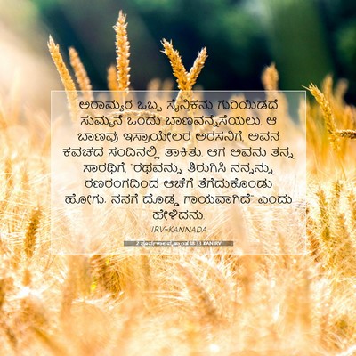 Picture 07 - 2 ಪೂರ್ವಕಾಲವೃತ್ತಾಂತ 18:33 KANIRV - ಅರಾಮ್ಯರ ಒಬ್ಬ - Bible Verse Picture
