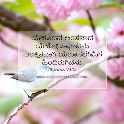 Picture 07 - 2 ಪೂರ್ವಕಾಲವೃತ್ತಾಂತ 19:1 KANIRV - ಯೆಹೂದದ ಅರಸನಾದ - Bible Verse Picture