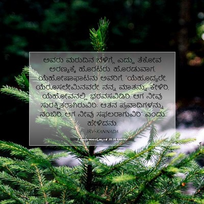Picture 07 - 2 ಪೂರ್ವಕಾಲವೃತ್ತಾಂತ 20:20 KANIRV - ಅವರು ಮರುದಿನ - Bible Verse Picture