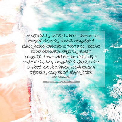 Picture 07 - 2 ಪೂರ್ವಕಾಲವೃತ್ತಾಂತ 29:22 KANIRV - ಹೋರಿಗಳನ್ನು ವಧಿಸಿದ - Bible Verse Picture