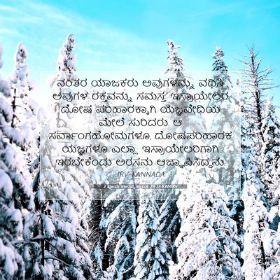 Picture 07 - 2 ಪೂರ್ವಕಾಲವೃತ್ತಾಂತ 29:24 KANIRV - ನಂತರ ಯಾಜಕರು - Bible Verse Picture