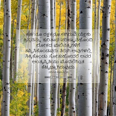 Picture 07 - 2 ಪೇತ್ರನು 2:20 KANIRV - ಕರ್ತನೂ ರಕ್ಷಕನೂ - Bible Verse Picture