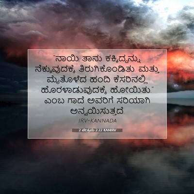 Picture 07 - 2 ಪೇತ್ರನು 2:22 KANIRV - “ನಾಯಿ ತಾನು - Bible Verse Picture