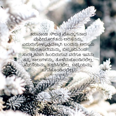 Picture 07 - 2 ಸಮುವೇಲನು 19:24 KANIRV - ತರುವಾಯ ಸೌಲನ - Bible Verse Picture