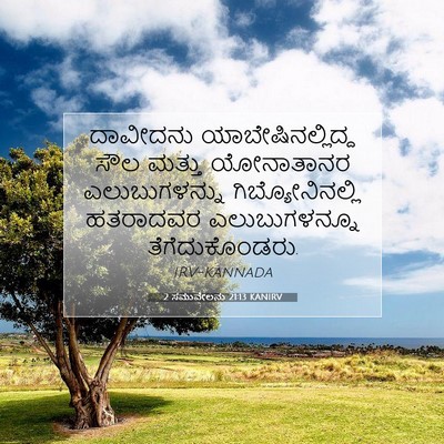 Picture 07 - 2 ಸಮುವೇಲನು 21:13 KANIRV - ದಾವೀದನು - Bible Verse Picture