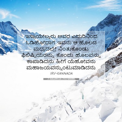 Picture 07 - 2 ಸಮುವೇಲನು 23:12 KANIRV - ಇಸ್ರಾಯೇಲ್ಯರು ಅವರ - Bible Verse Picture