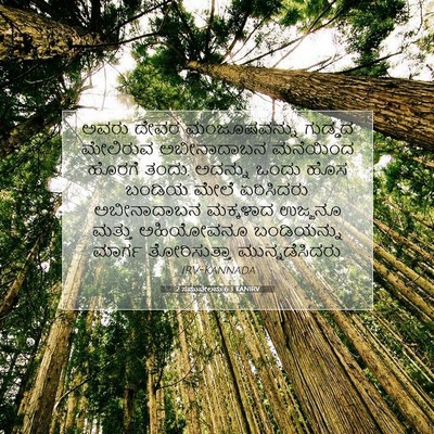 Picture 07 - 2 ಸಮುವೇಲನು 6:3 KANIRV - ಅವರು ದೇವರ - Bible Verse Picture