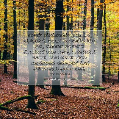 Picture 07 - 2 ಸಮುವೇಲನು 7:19 KANIRV - ಕರ್ತನೇ, ಯೆಹೋವನೇ! - Bible Verse Picture