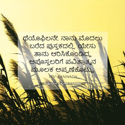 Picture 07 - ಅಪೊಸ್ತಲರ ಕೃತ್ಯಗಳು 1:1 KANIRV - ಥೆಯೊಫಿಲನೇ, ನಾನು - Bible Verse Picture