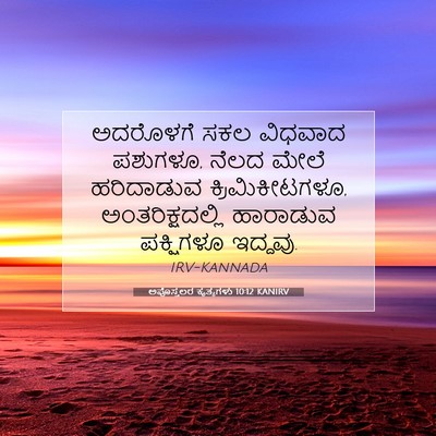 Picture 07 - ಅಪೊಸ್ತಲರ ಕೃತ್ಯಗಳು 10:12 KANIRV - ಅದರೊಳಗೆ ಸಕಲ - Bible Verse Picture