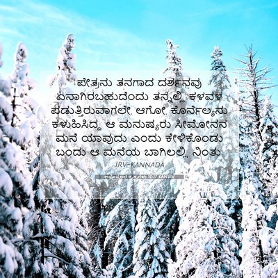 Picture 07 - ಅಪೊಸ್ತಲರ ಕೃತ್ಯಗಳು 10:17 KANIRV - ಪೇತ್ರನು ತನಗಾದ - Bible Verse Picture