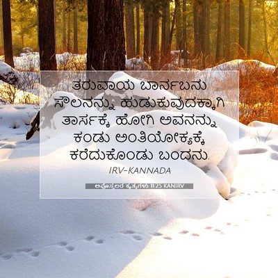 Picture 07 - ಅಪೊಸ್ತಲರ ಕೃತ್ಯಗಳು 11:25 KANIRV - ತರುವಾಯ ಬಾರ್ನಬನು - Bible Verse Picture