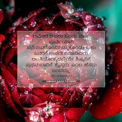 Picture 07 - ಅಪೊಸ್ತಲರ ಕೃತ್ಯಗಳು 11:26 KANIRV - ಆಮೇಲೆ ಅವರು ಒಂದು - Bible Verse Picture