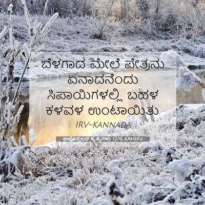 Picture 07 - ಅಪೊಸ್ತಲರ ಕೃತ್ಯಗಳು 12:18 KANIRV - ಬೆಳಗಾದ ಮೇಲೆ - Bible Verse Picture