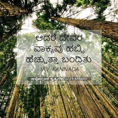 Picture 07 - ಅಪೊಸ್ತಲರ ಕೃತ್ಯಗಳು 12:24 KANIRV - ಆದರೆ ದೇವರ ವಾಕ್ಯವು - Bible Verse Picture