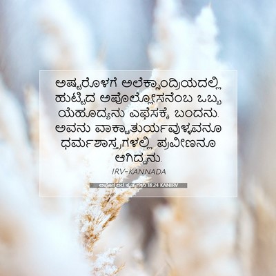 Picture 07 - ಅಪೊಸ್ತಲರ ಕೃತ್ಯಗಳು 18:24 KANIRV - ಅಷ್ಟರೊಳಗೆ - Bible Verse Picture