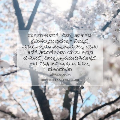 Picture 07 - ಅಪೊಸ್ತಲರ ಕೃತ್ಯಗಳು 2:38 KANIRV - ಪೇತ್ರನು ಅವರಿಗೆ, - Bible Verse Picture