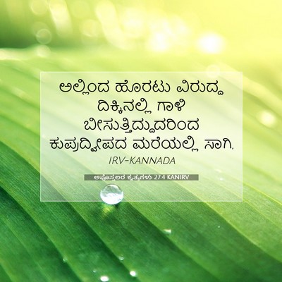 Picture 07 - ಅಪೊಸ್ತಲರ ಕೃತ್ಯಗಳು 27:4 KANIRV - ಅಲ್ಲಿಂದ ಹೊರಟು - Bible Verse Picture