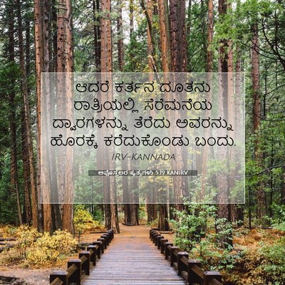 Picture 07 - ಅಪೊಸ್ತಲರ ಕೃತ್ಯಗಳು 5:19 KANIRV - ಆದರೆ ಕರ್ತನ ದೂತನು - Bible Verse Picture