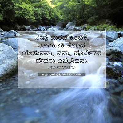 Picture 07 - ಅಪೊಸ್ತಲರ ಕೃತ್ಯಗಳು 5:30 KANIRV - ನೀವು ಮರದ ಕಂಬಕ್ಕೆ - Bible Verse Picture